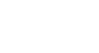 Eagle Wireless