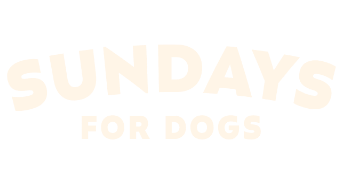 Sundays for Dogs
